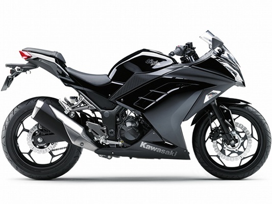 Фото мотоцикла Kawasaki Ninja 300 ABS
