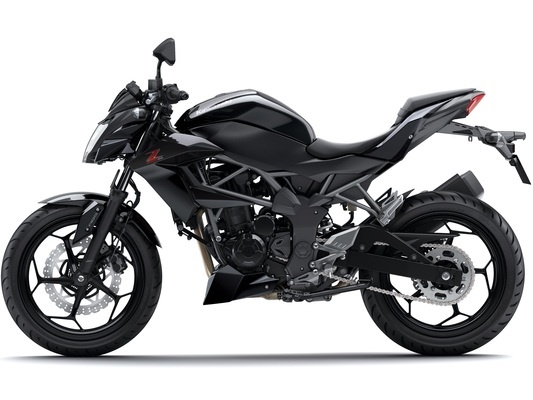 Фото мотоцикла Kawasaki Z250SL ABS